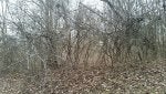 20190111_100720_resized.jpg