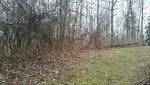 20190111_100723_resized.jpg